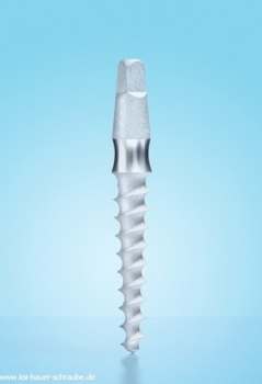 Implantat A Ø 5,0 x 8,0