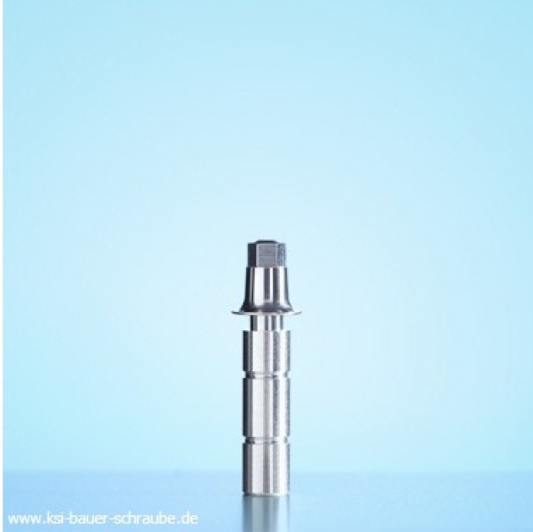 Abdruckpin 6kant für Ø 5,0