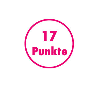 17 Punkte